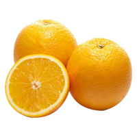 纽荷尔脐橙